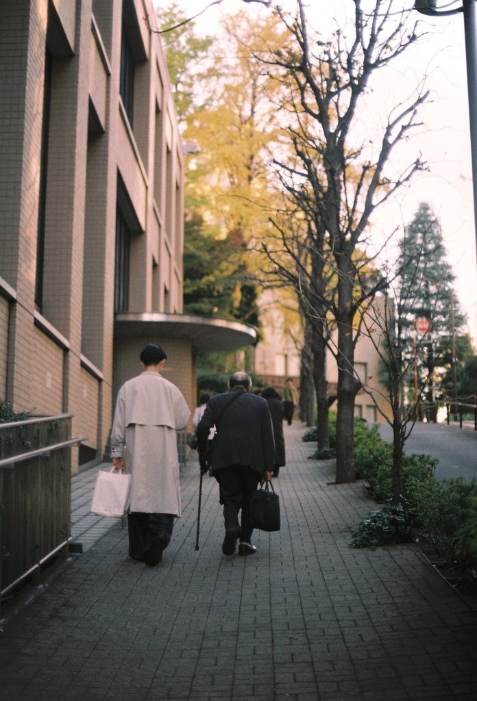 ゆめまぼろしか(film)