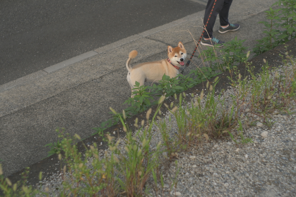 目と目で通じ合う