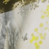 花笑う(film)