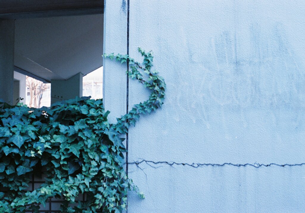 街の記憶(film)