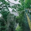 ミドリ降る(film)
