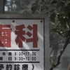 シカの或る景色