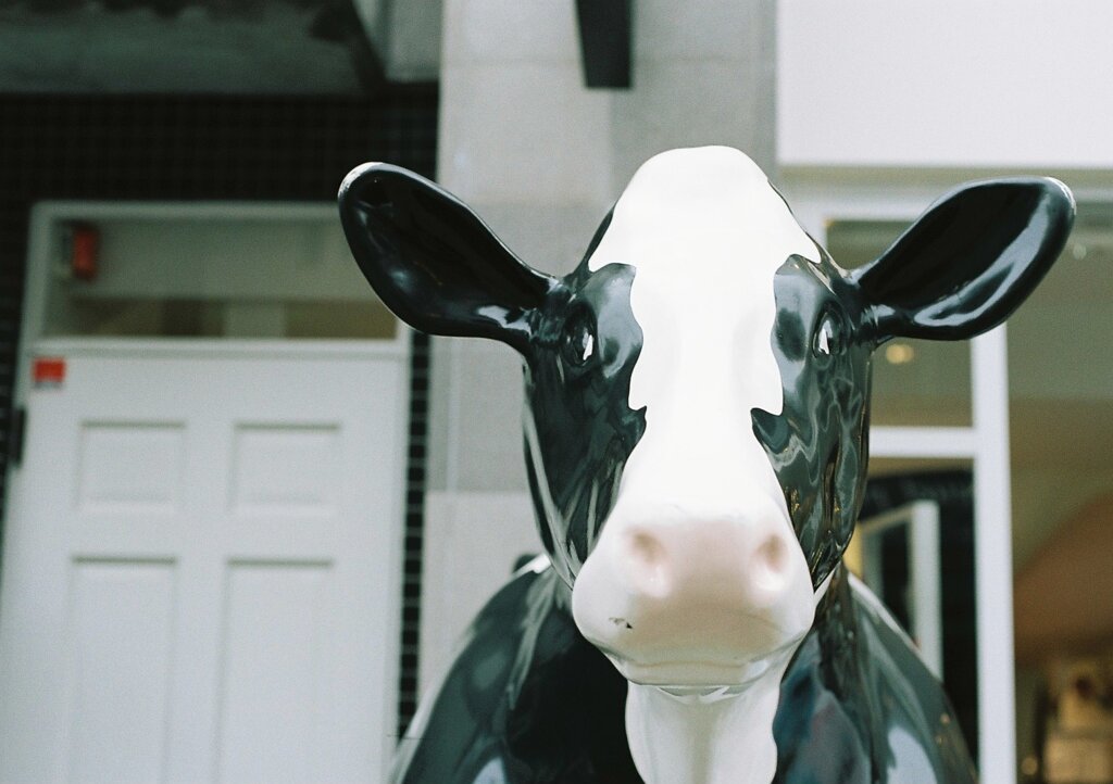 もー(film)
