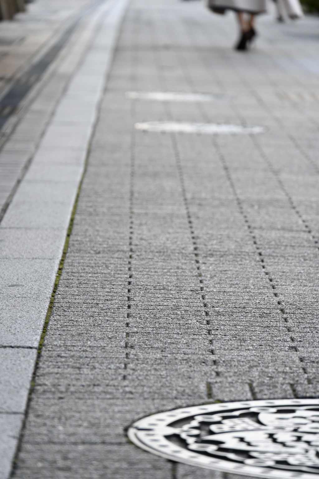 路上の桜前線
