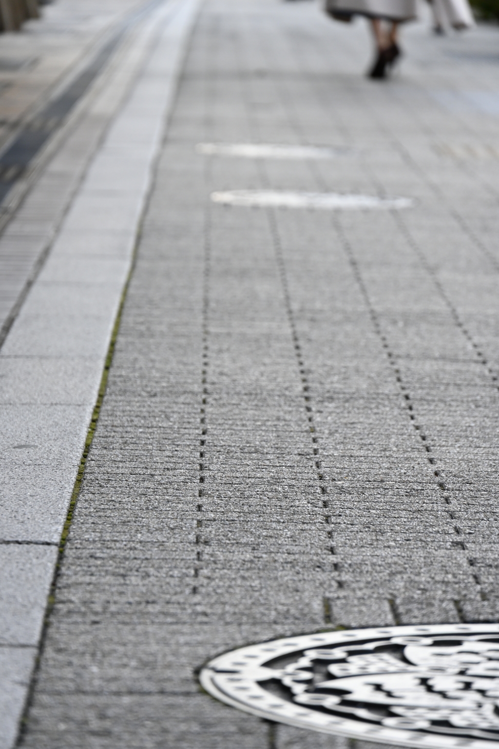 路上の桜前線