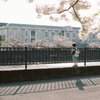 はなれがたし(film)