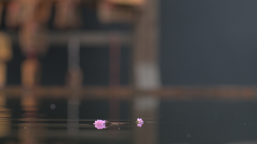 花の時間