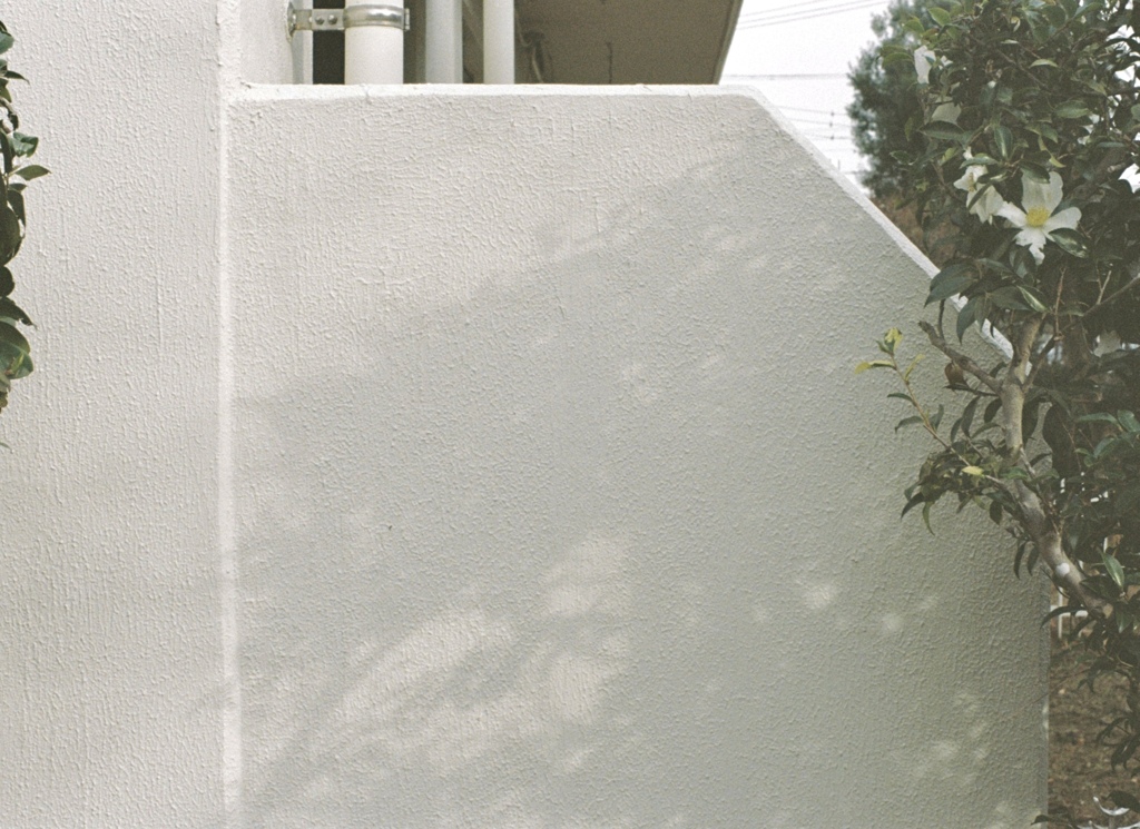 白い午後(film)