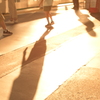 夕陽が遊ぶ