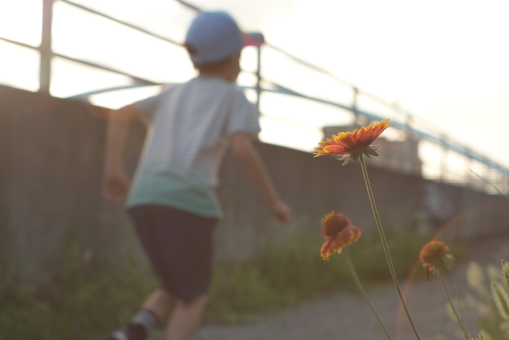 花と少年