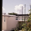 夏の日のアイコ(film)