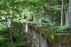 名水へ続く橋
