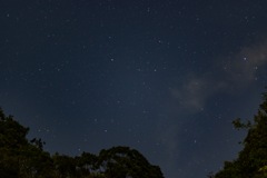 箕面の星空