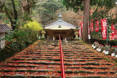 落葉に導かれ