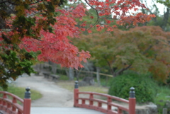 紅景趣
