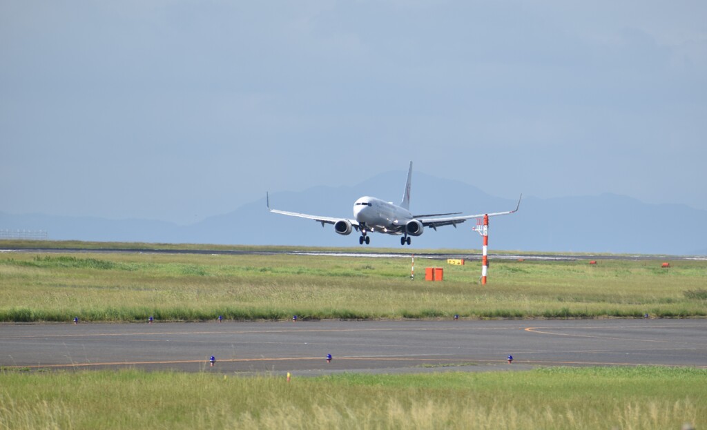 初飛行機撮り（着陸）