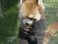 なかなかいけるね