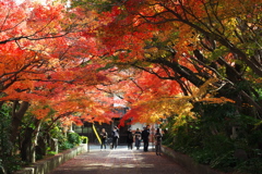 龍福寺参道から