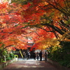 龍福寺参道から