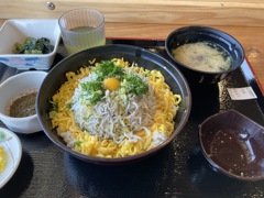 結局これになりました。シラス丼