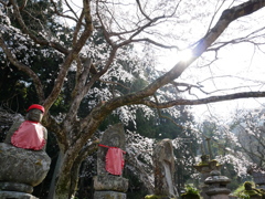 桜地蔵