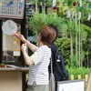風鈴はウチワで扇いで視聴するらしい