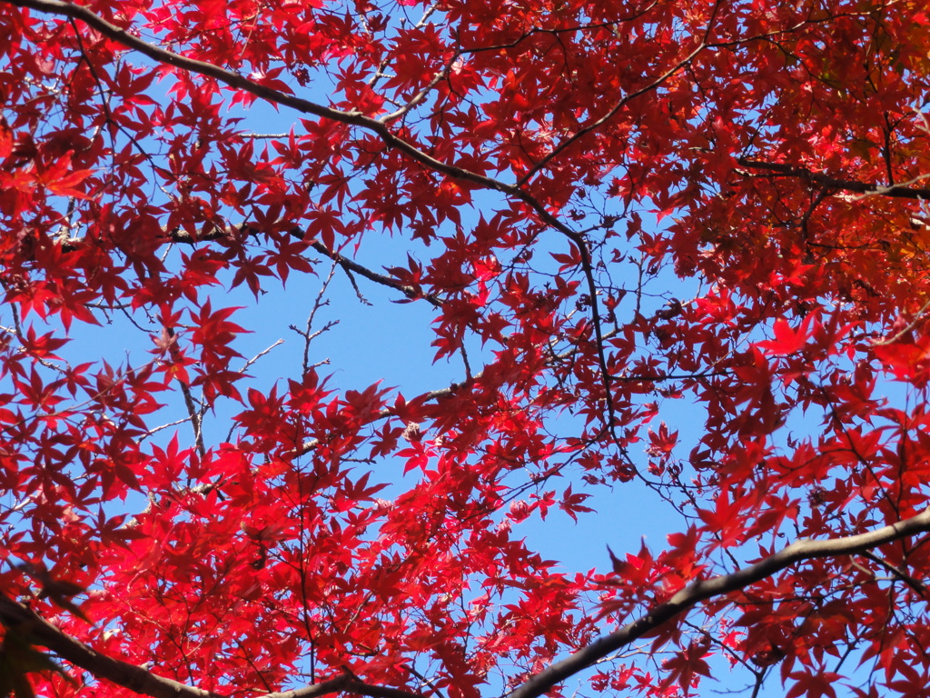 私の青空