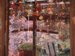 映り込む春
