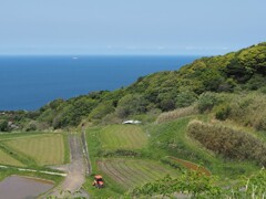 棚田も目覚めの時