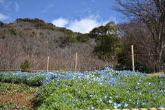 一歩一景（43）