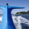 青クジラに乗って