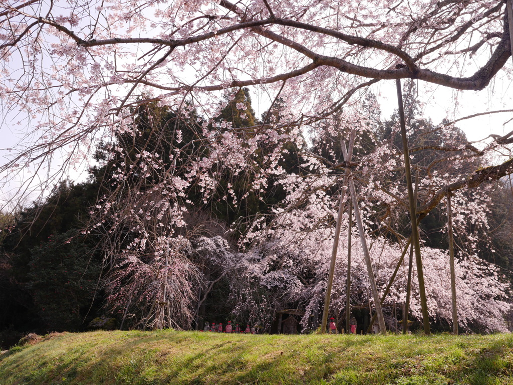 穏やかな春景