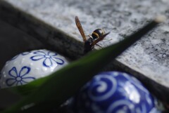 僕も水分補給が欠かせません