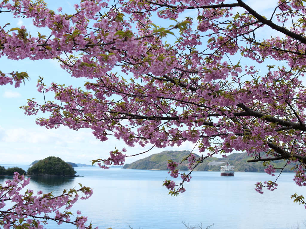 海を彩って