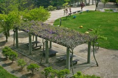 誰もいない公園
