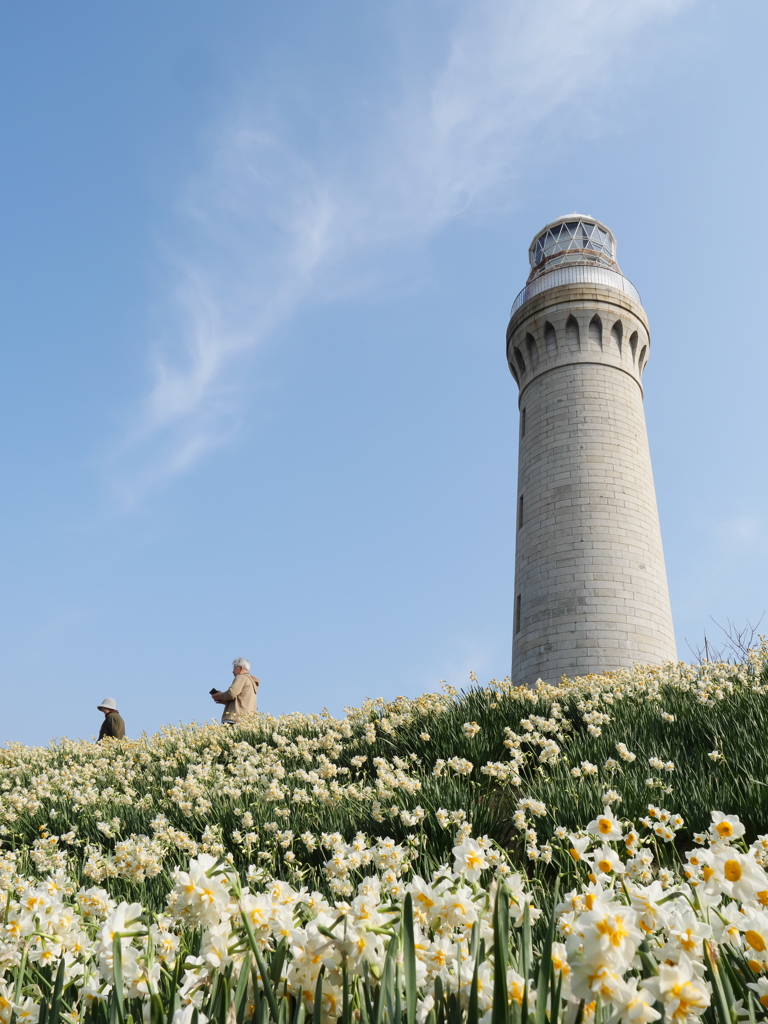 この景色を見に