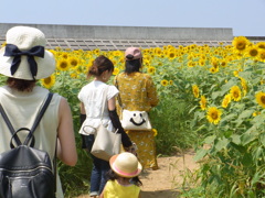 向日葵の帰り道