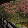 楽山荘から