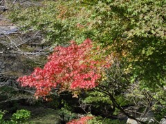 一足お先に