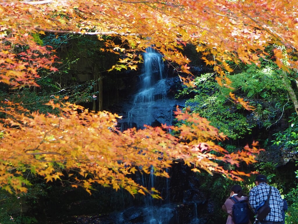 穏やかな時を