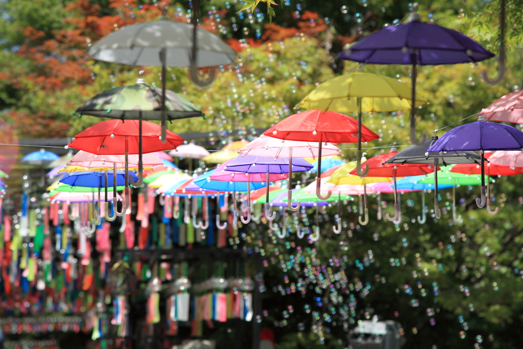 しゃぼんの雨が