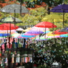 しゃぼんの雨が