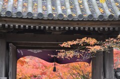 一歩一景（８）