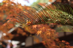 受け止められて