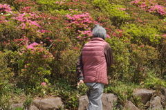 沢山採れました