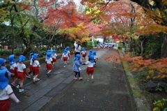 わぁ~