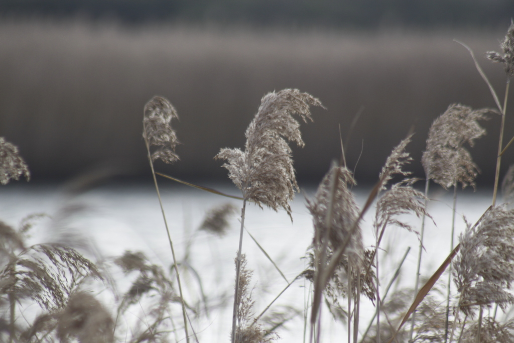 一歩一景（19）