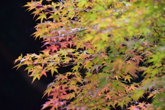 季節の入り口