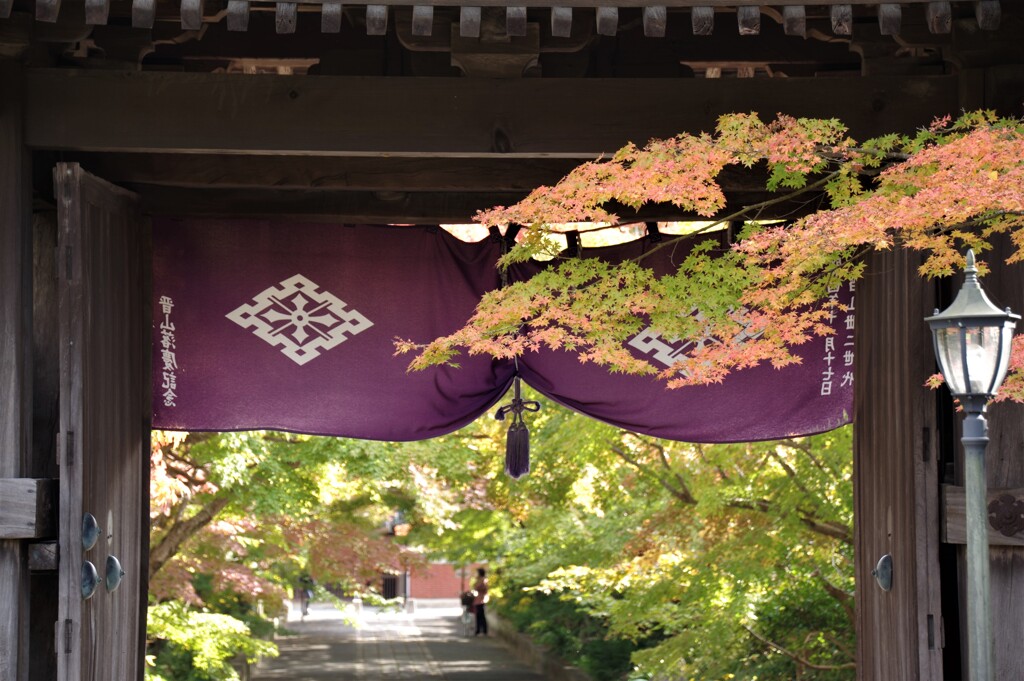 門