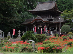 彼岸花に囲まれた古社